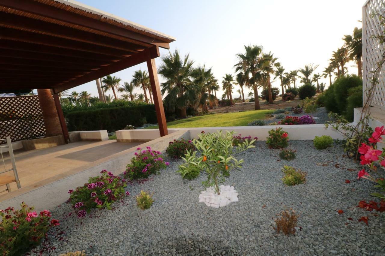 Yulya Villa By Taimoura Paphos Exterior photo